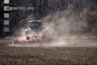 Seed bed preparation beets 3