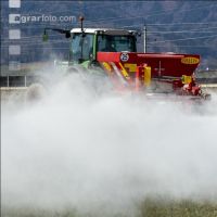 Feuchtkalk auf Wiese 15