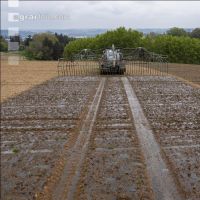 Slurry before maize seed 10