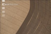 Slurry before maize seed 4