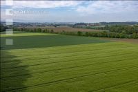 Agricultural area in May 21