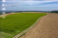 Agrarland im Mai 20