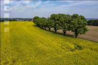 Agricultural area in May 19