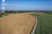 Agricultural area in May 17