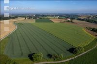 Agricultural area in May 15
