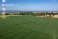 Agricultural area in May 14