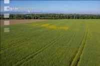 Agricultural area in May 9