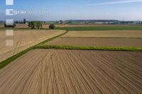Agricultural area in May 8
