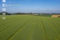 Agricultural area in May 5
