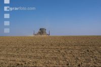 Beet seeding 165