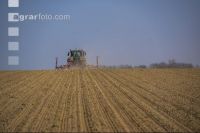 Beet seeding 164