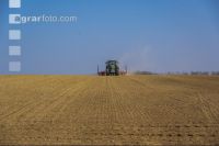 Beet seeding 162