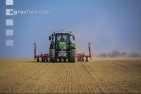 Beet seeding 161