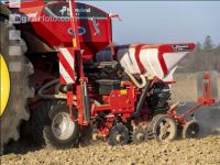 Beet seeding 192