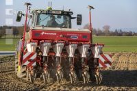 Beet seeding 191