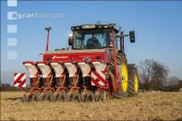 Beet seeding 190