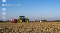 Beet seeding 186