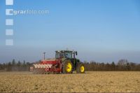 Beet seeding 185