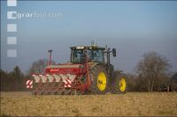 Beet seeding 184