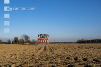 Beet seeding 182