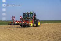 Beet seeding 181