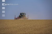 Beet seeding 180