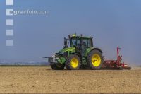 Beet seeding 176