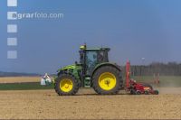 Beet seeding 174
