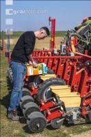 Beet seeding 171
