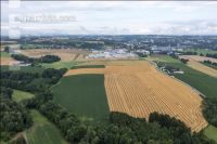 Verregnetes Stroh 8
