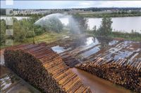 Holz Nasslager 11