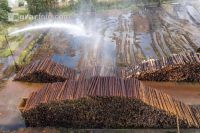 Holz Nasslager 10