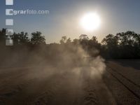 Wheat harvest 278