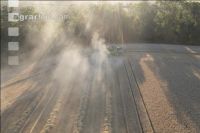 Wheat harvest 277