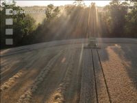 Wheat harvest 276