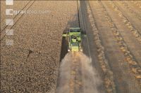 Wheat harvest 260