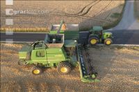 Wheat harvest 258