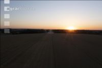 Wheat harvest 280
