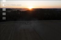 Wheat harvest 281
