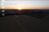 Wheat harvest 283