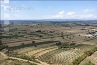 Drought Burgenland 5