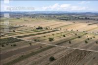 Drought Burgenland 3