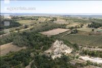 Drought Burgenland 1