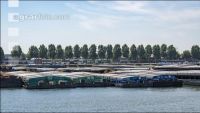 Rotterdam Containerhafen 16