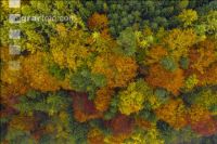 Herbstliche Impressionen 1