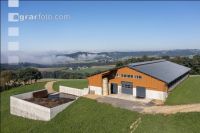 Bull fattening stable 2