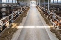 Feeding robot 25