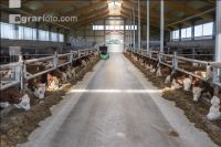 Feeding robot 23