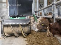 Feeding robot 17