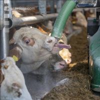Feeding robot 6